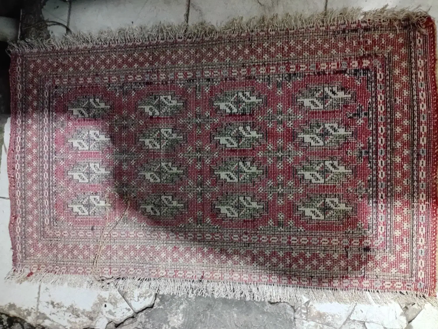 فرش دستبافت|پادری|اصفهان, امیرعرب|دیوار