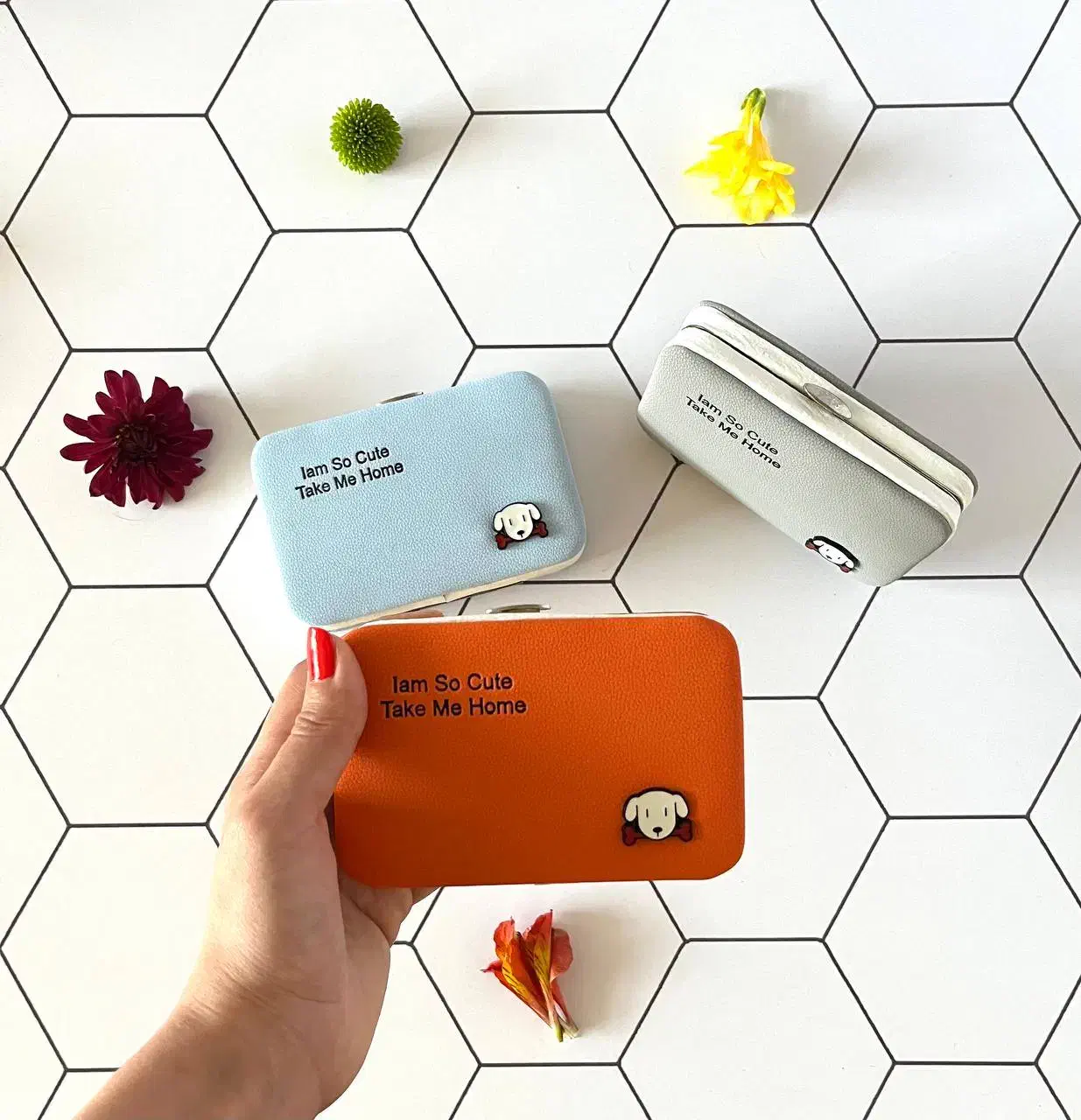 کیف|کیف، کفش، کمربند|اصفهان, سروستان|دیوار