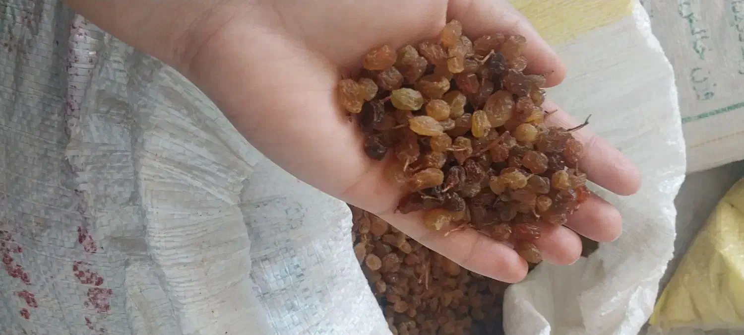 کشمش 280000|خوردنی و آشامیدنی|بومهن, |دیوار