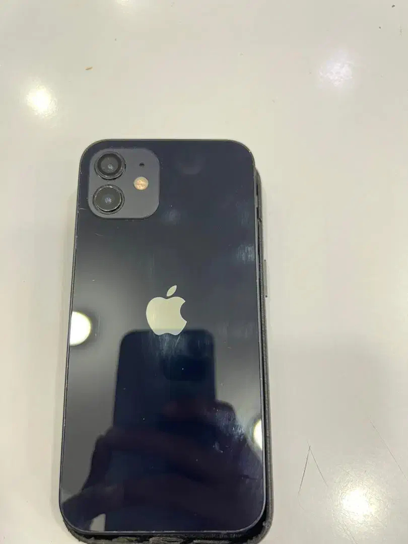 آیفون 12 نرمال|موبایل|قشم, |دیوار