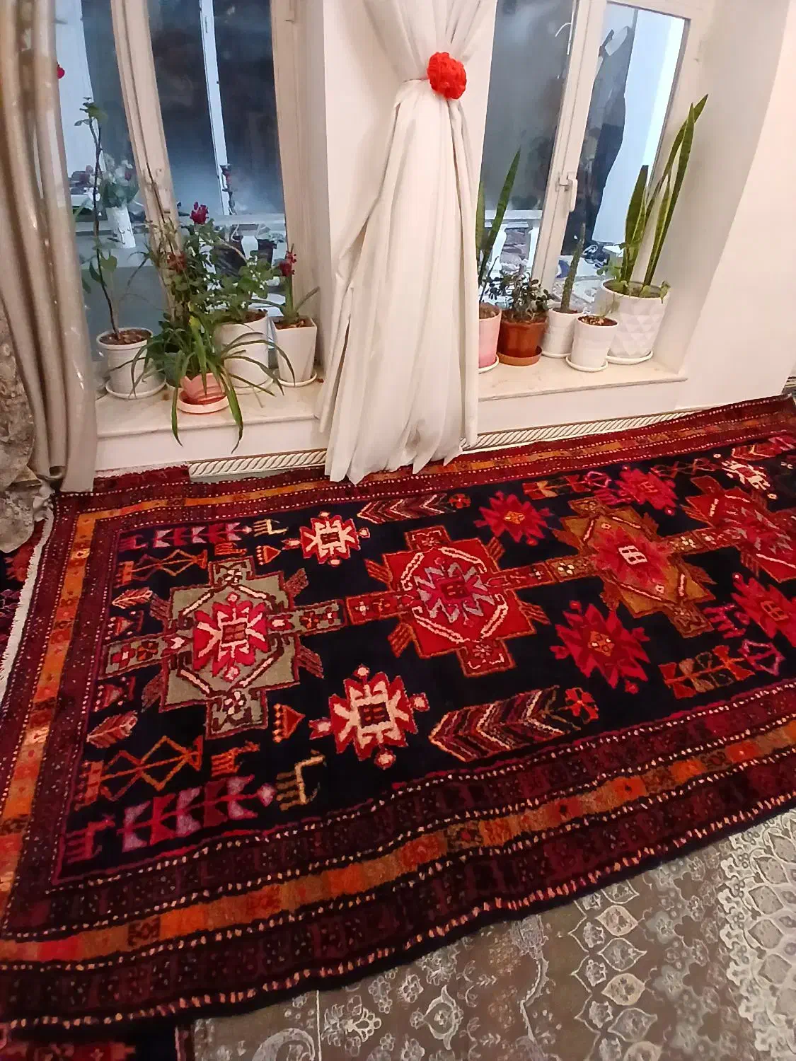 فرش طبیعی کناره|فرش|اردبیل, |دیوار