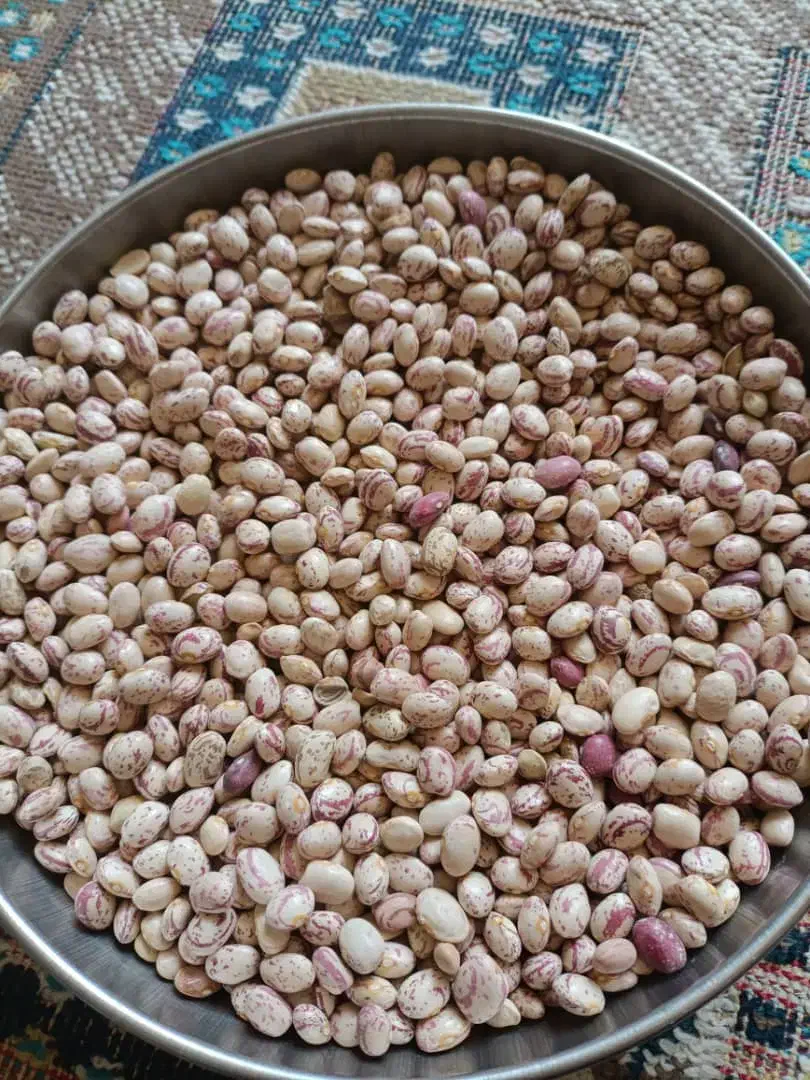 لوبیای چیتی بوجاری/اقلیدفارس موجوده|خوردنی و آشامیدنی|اقلید, |دیوار