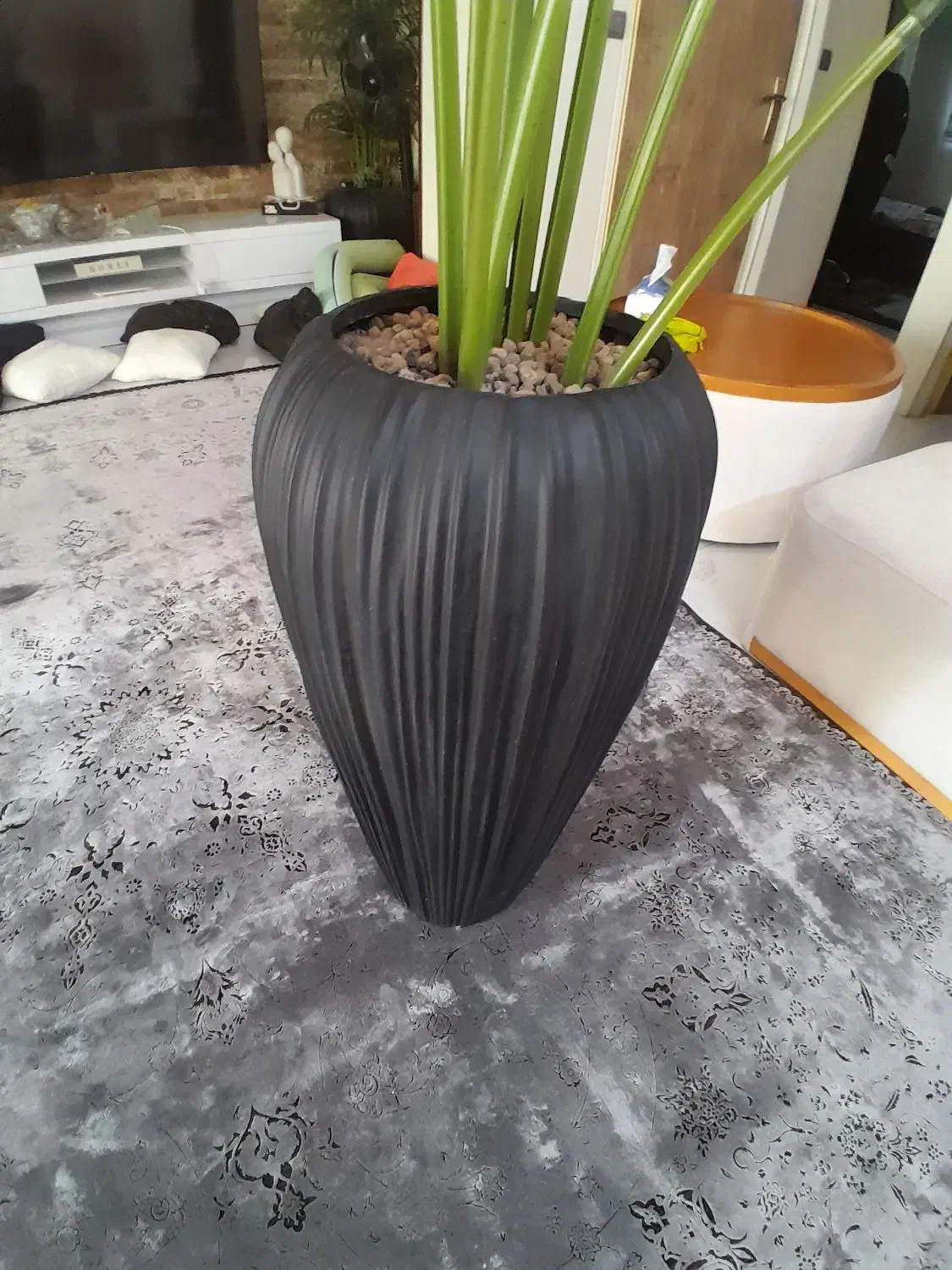 درختچه بلند مصنوعی وارداتی خارجی با گلدان|گل مصنوعی|تهران, مجیدیه|دیوار