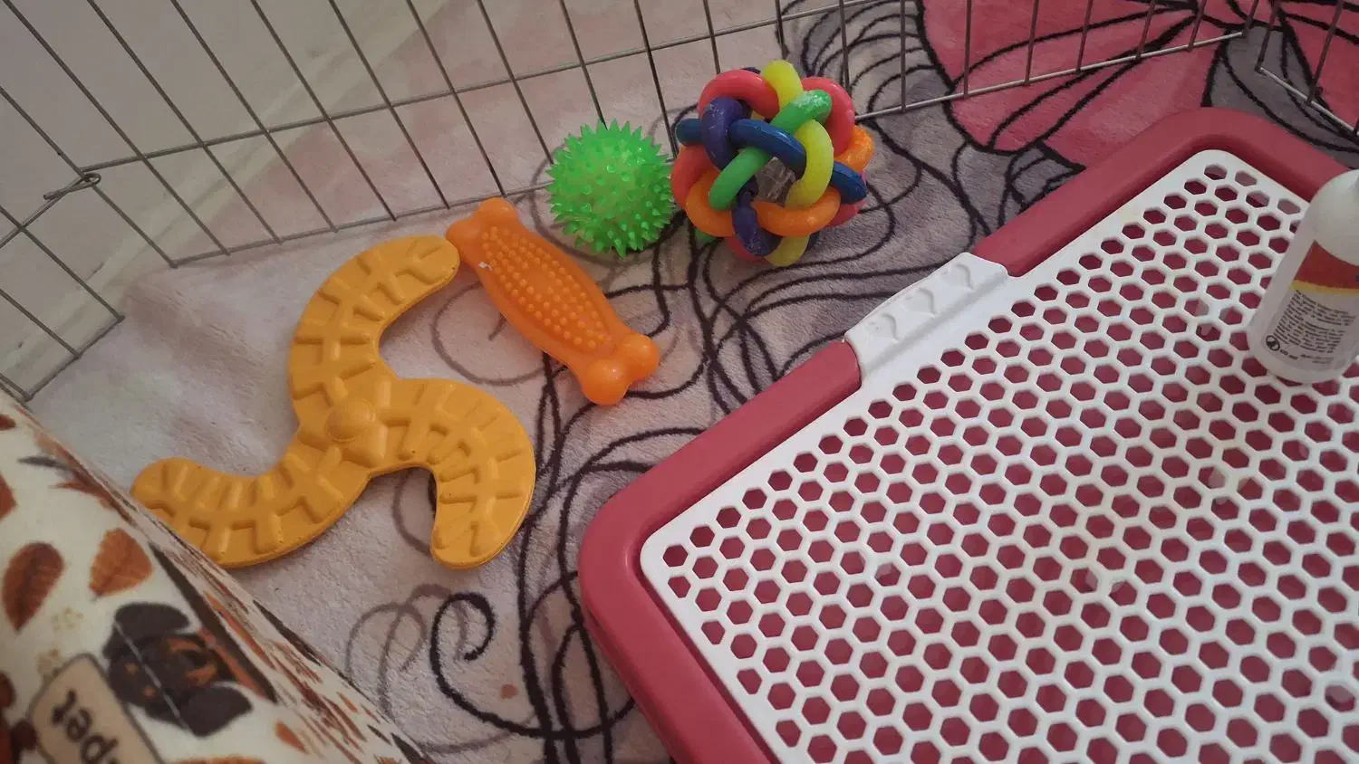 وسایل سگ|لوازم جانبی حیوانات|پرند, فاز ۵|دیوار