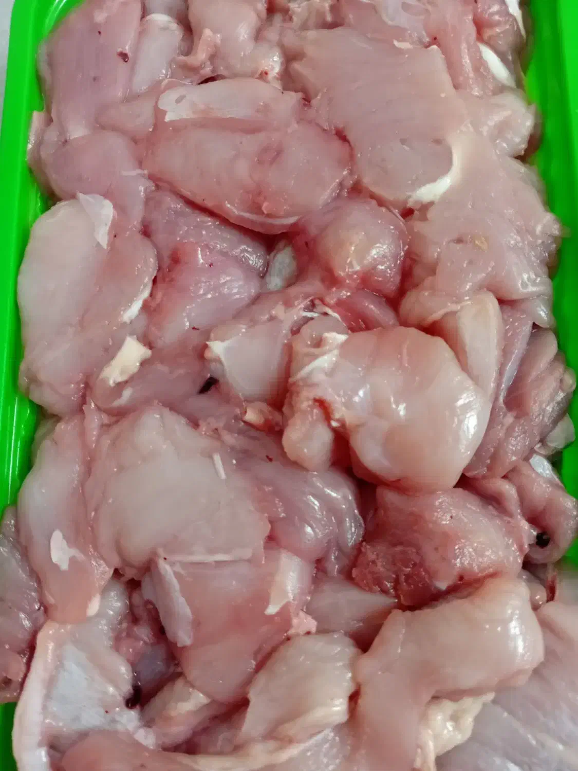 فروش خورده گوشت بوقلمون تازه کشتار روز|خوردنی و آشامیدنی|هشتگرد, قاسم آباد بزرگ|دیوار