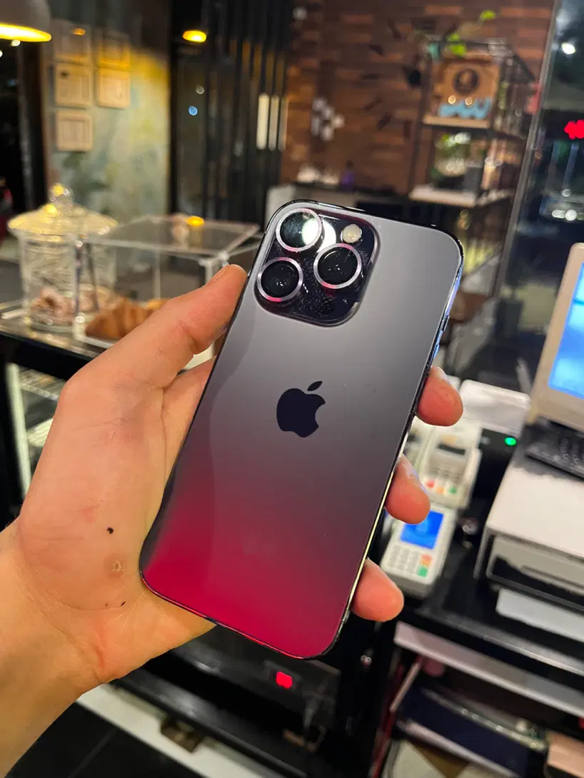 iPhone 14 Pro|موبایل|رشت, امین الضرب|دیوار