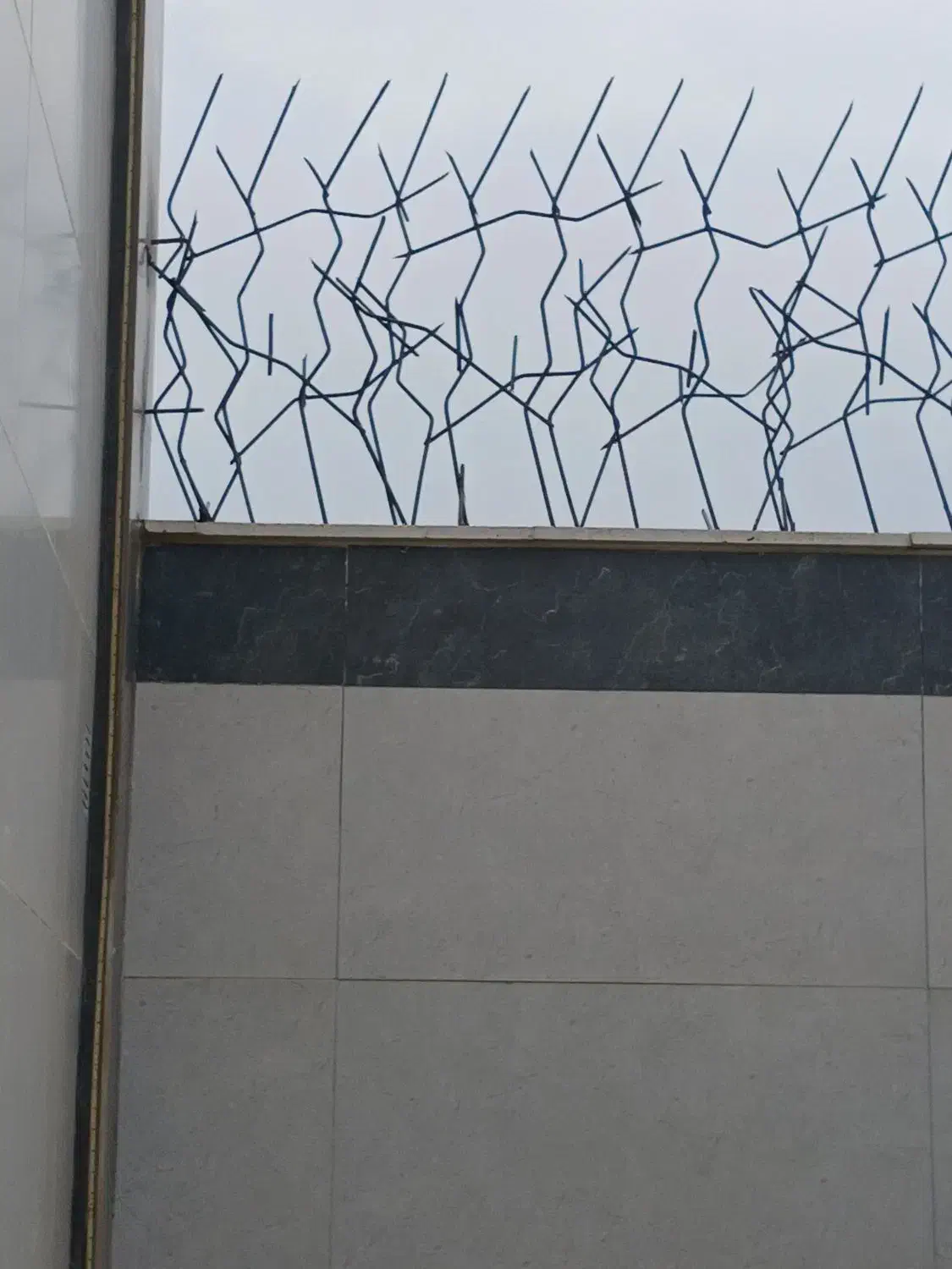 عنواع حفاظ شاخ گوزنی|خدمات پیشه و مهارت|الوند, |دیوار