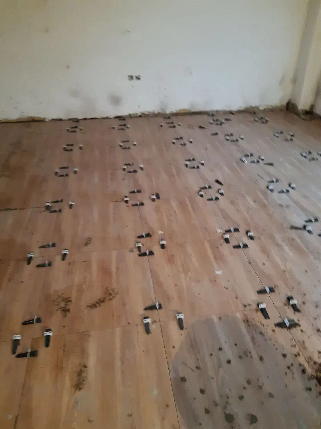 یک شاگرد کاشی کار و سنگ کار نیازمندیم|استخدام معماری، عمران و ساختمانی|ماسال, |دیوار