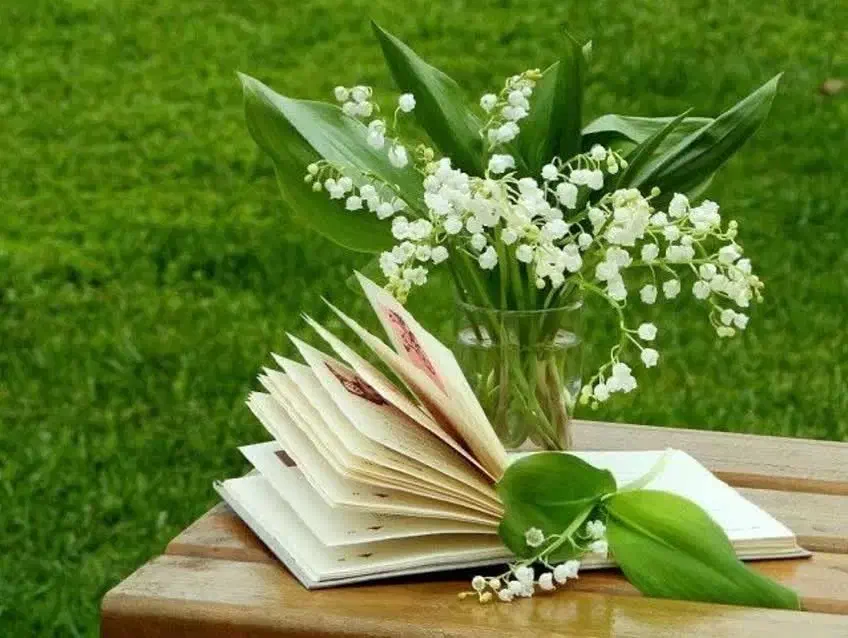 تایپ|خدمات رایانه‌ای و موبایل|قزوین, |دیوار