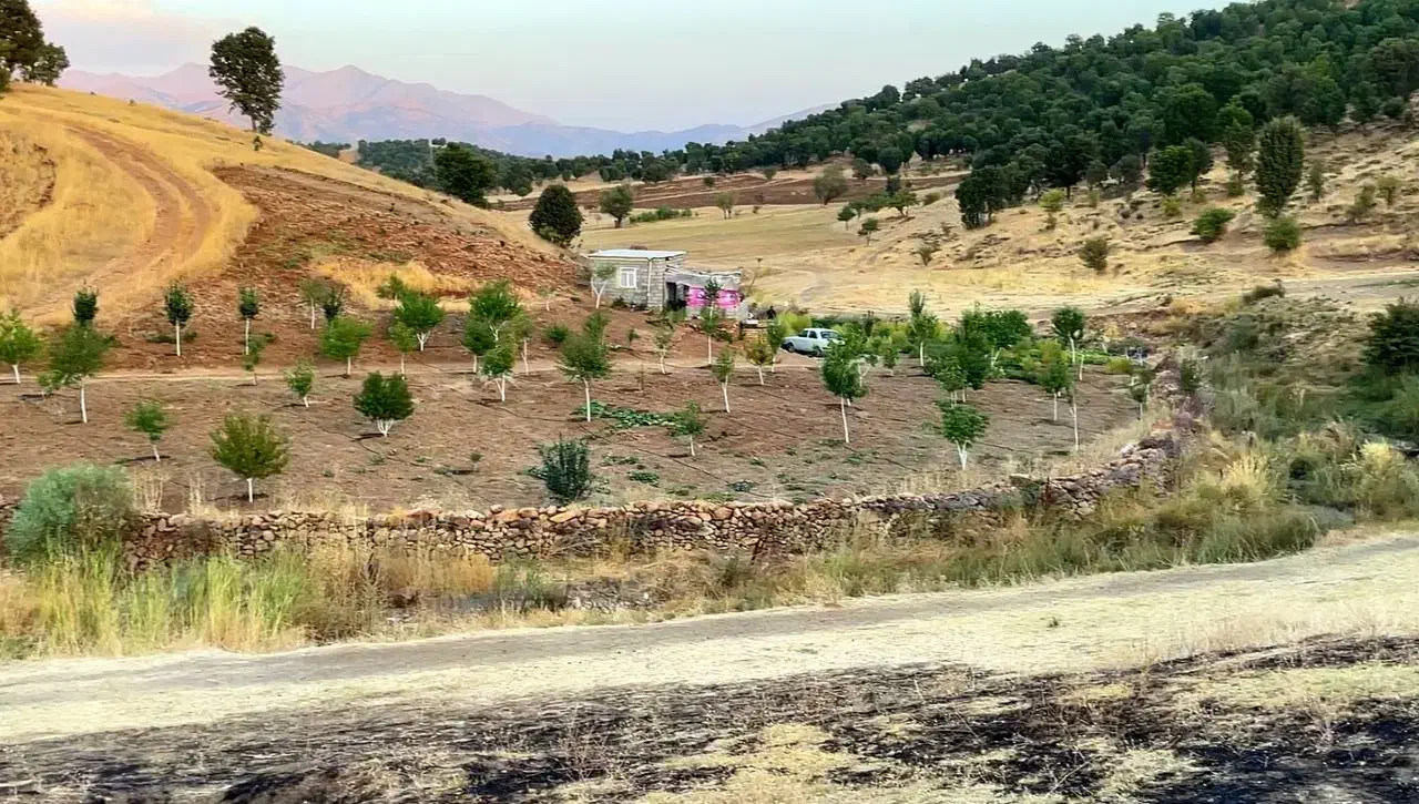 فروش باغ|فروش خانه و ویلا|بانه, |دیوار