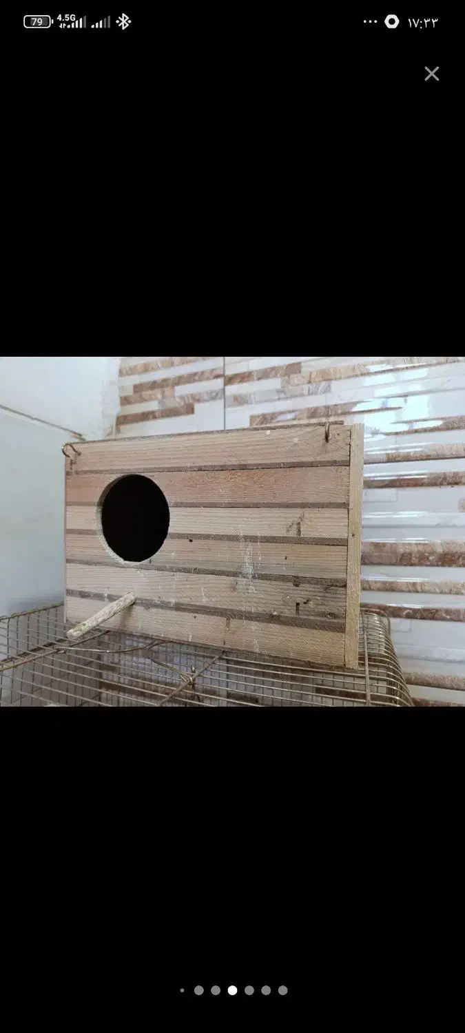 قفس و پایه و لونه|لوازم جانبی حیوانات|قدس, شهرقدس|دیوار