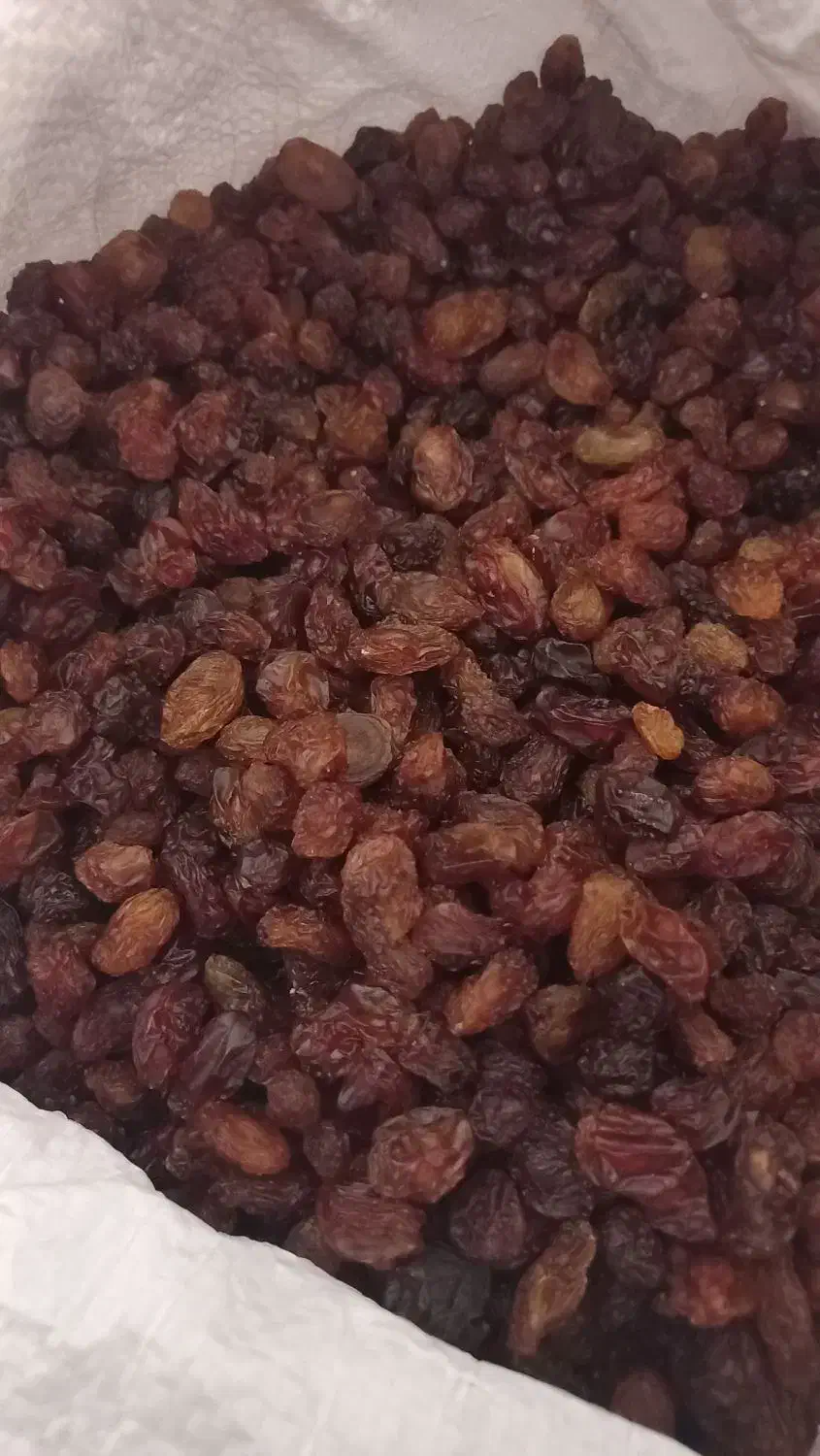 کشمش تازه و عالی|خوردنی و آشامیدنی|شاهرود, |دیوار