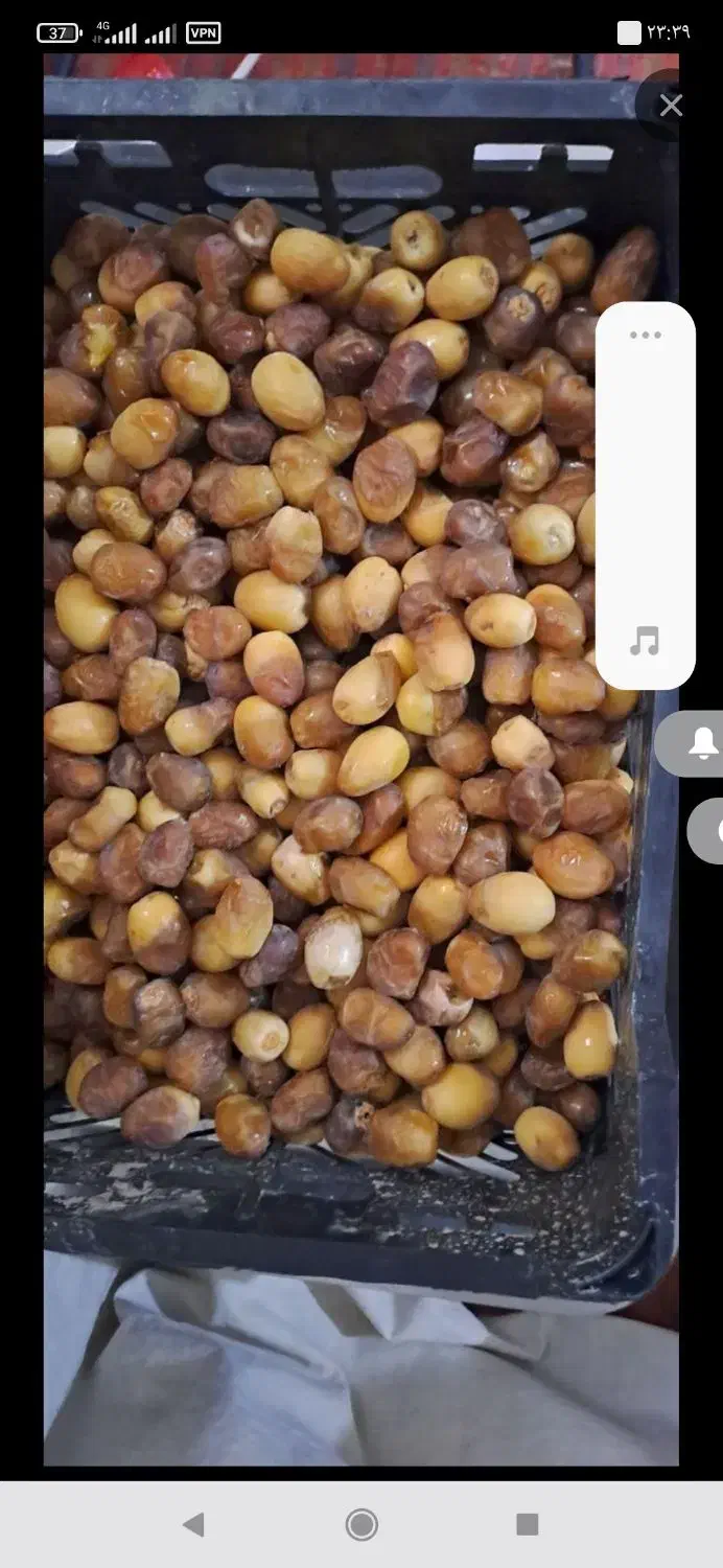 فروشی دوستان هرکس خواست زنگ بزنه|خوردنی و آشامیدنی|تربتحیدریه, پایانه مسافربری تربت حیدریه|دیوار