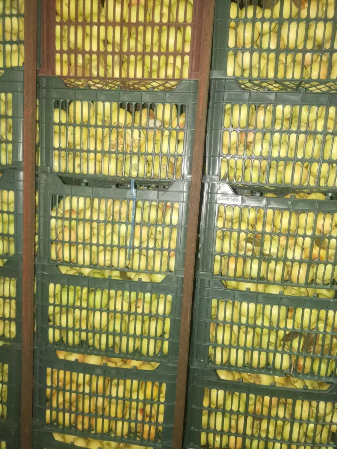 سیب ابگیری، میوه خشک، سرکه، لواشک|خوردنی و آشامیدنی|اصفهان, درب سیبه علیا|دیوار