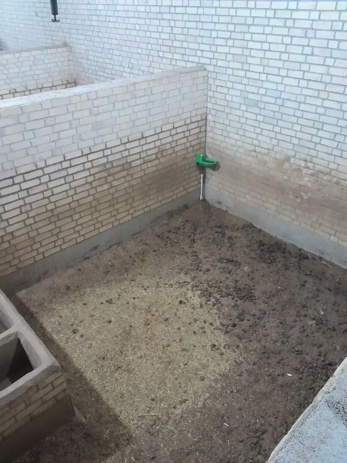 باشگاه سوارکاری چرخاب اشکذر|اجارهٔ مغازه و غرفه|اشکذر, |دیوار