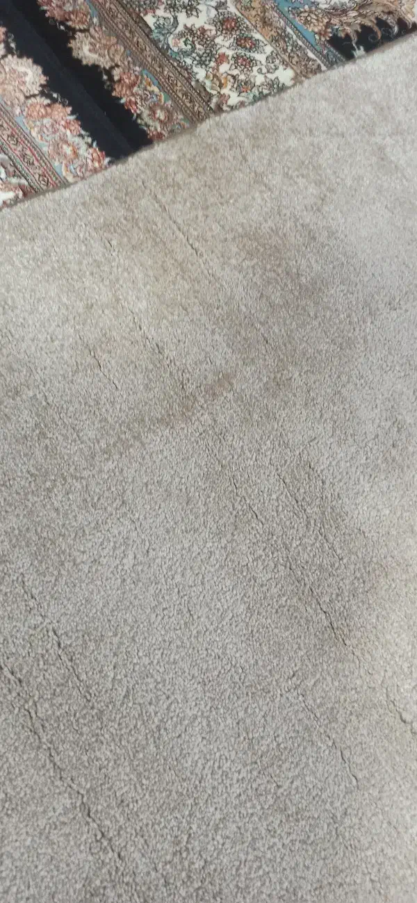 پالاز موکت|موکت|همدان, |دیوار