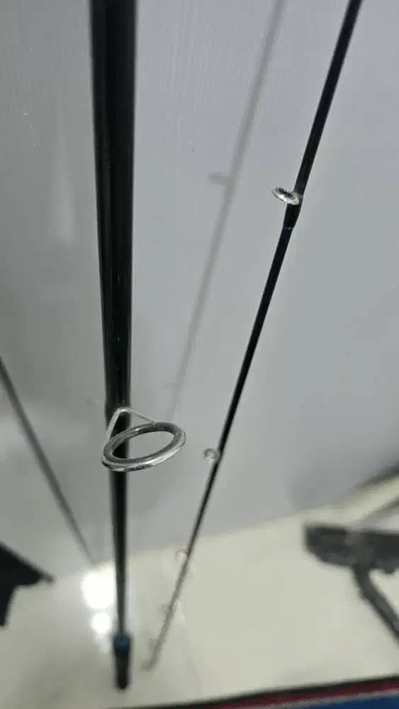 چوب اسپین آب شور|ماهیگیری|جم, |دیوار