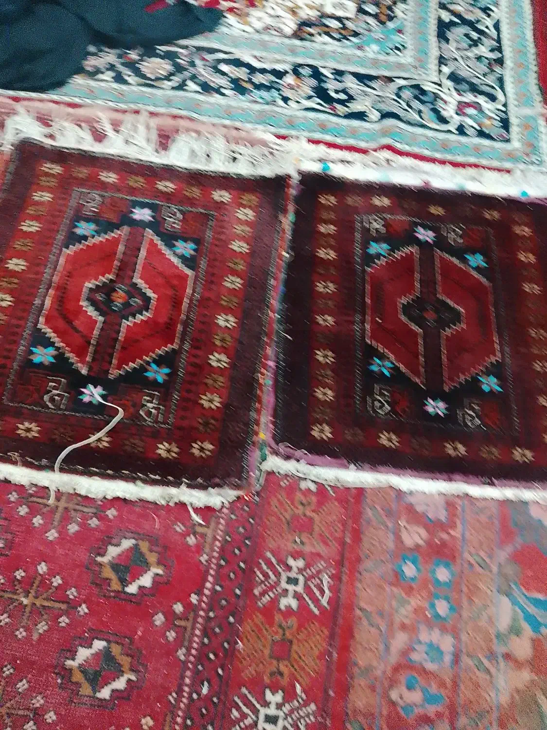 فرش دستبافت|فرش|مشهد, شهید قربانی|دیوار