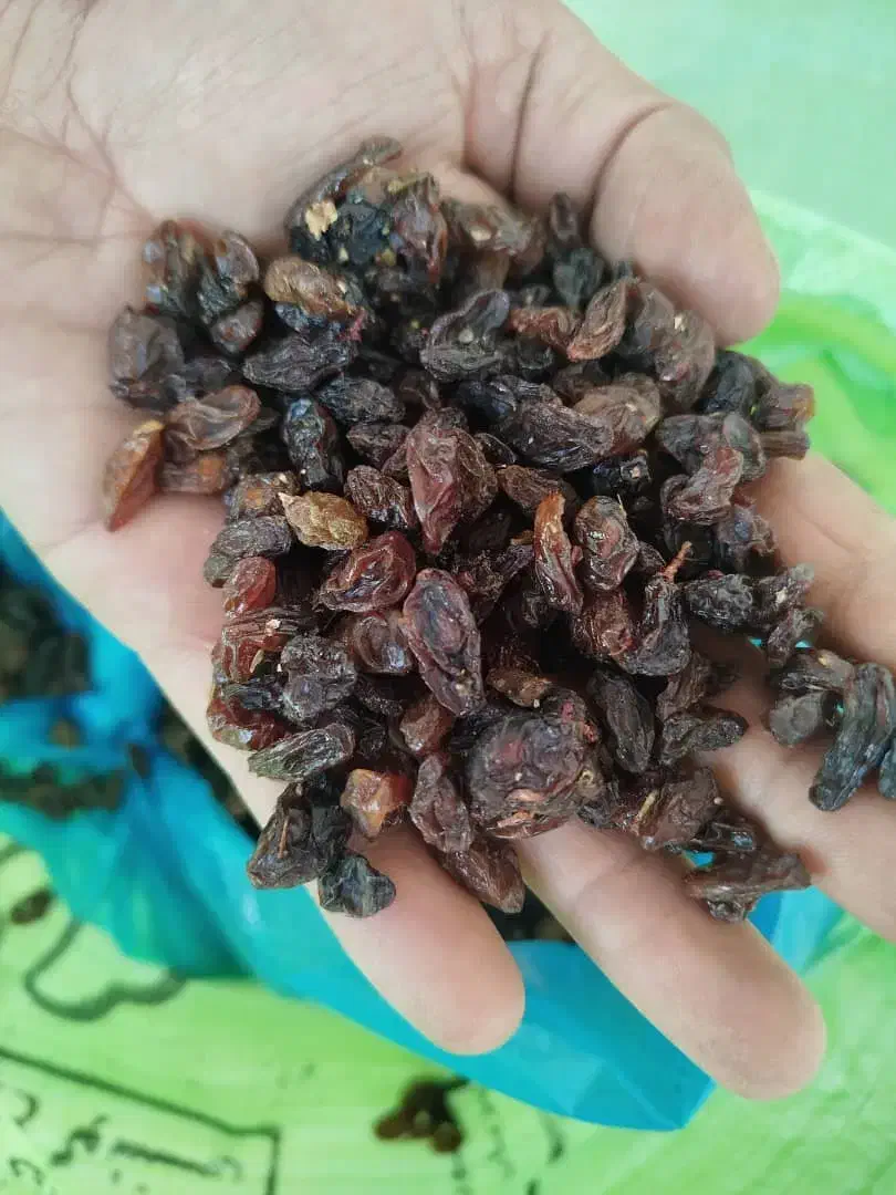 کشمش ومویز|خوردنی و آشامیدنی|ارومیه, |دیوار