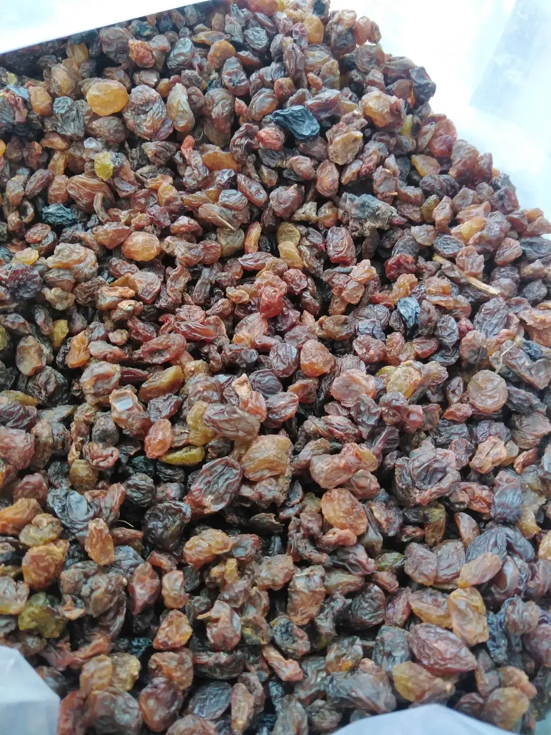 کشمش عسگری|خوردنی و آشامیدنی|کرج, اسلامآباد|دیوار