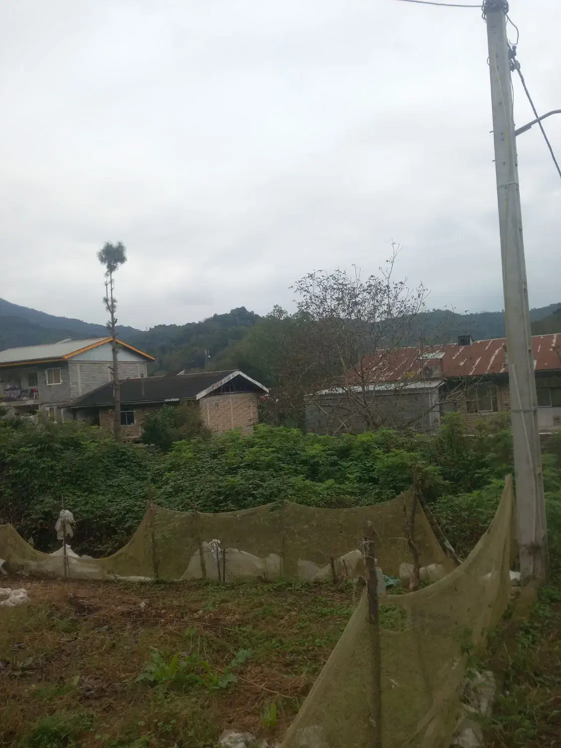 ۲۰۰متر زمین با پروانه ساخت ویو دار|فروش زمین و ملک کلنگی|املش, |دیوار