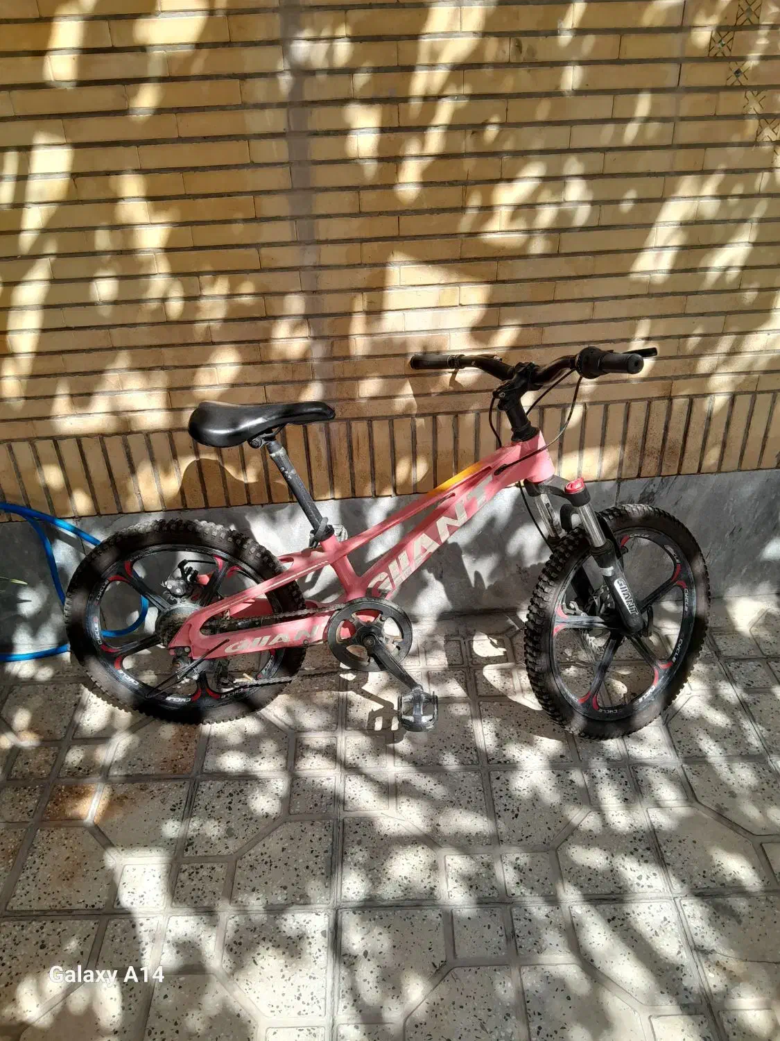 دوچرخه|دوچرخه، اسکیت، اسکوتر|پیر بکران, |دیوار