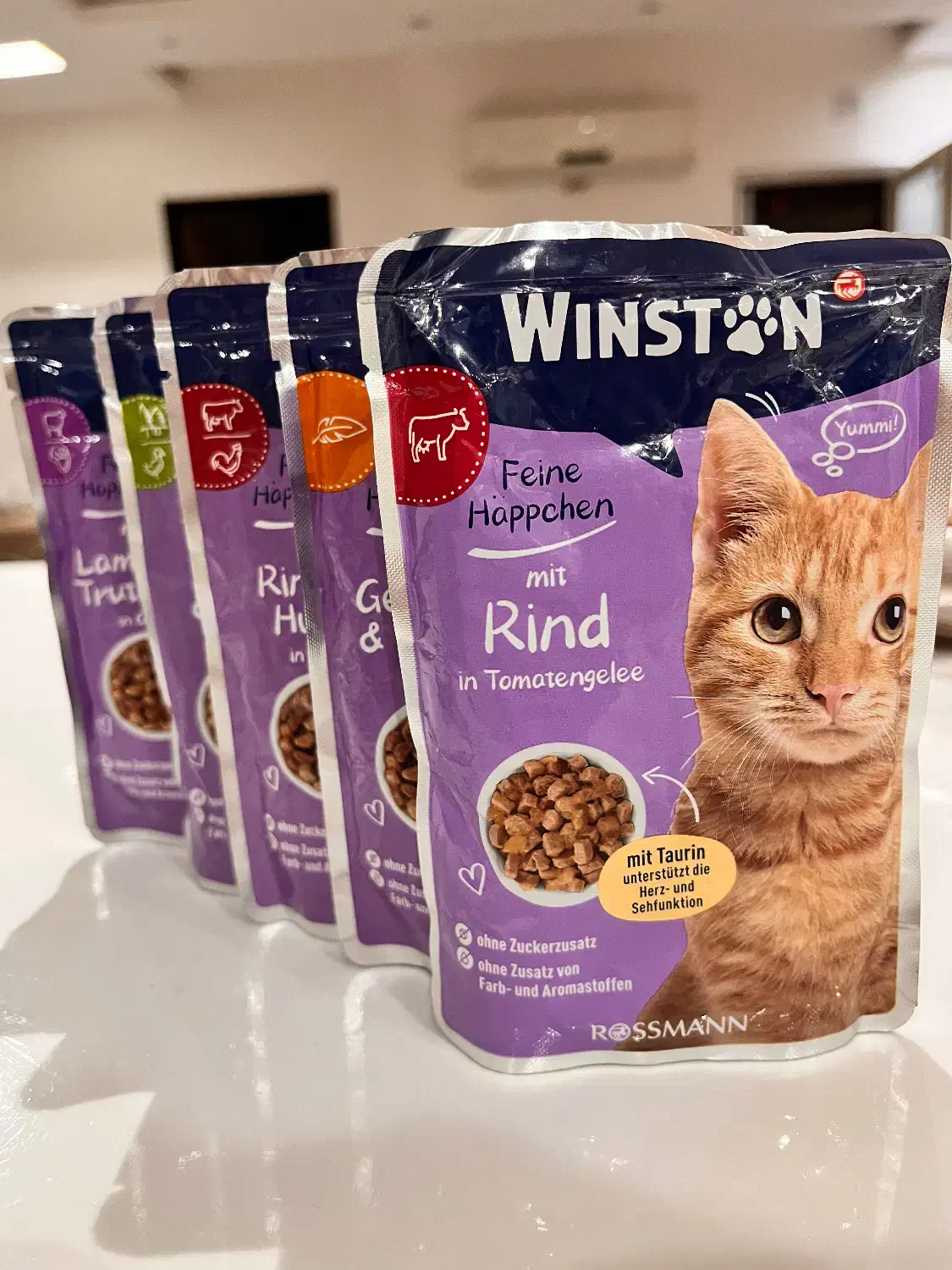 پوچ و بستنی وینستون|لوازم جانبی حیوانات|اهواز, کوی سعدی|دیوار