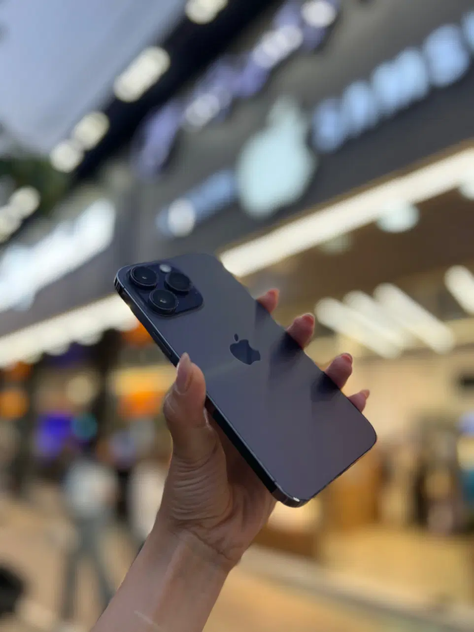 اپل ۱۴ پرومکس iphone )چکی با ضمانت طلا|موبایل|مشهد, بهشت|دیوار