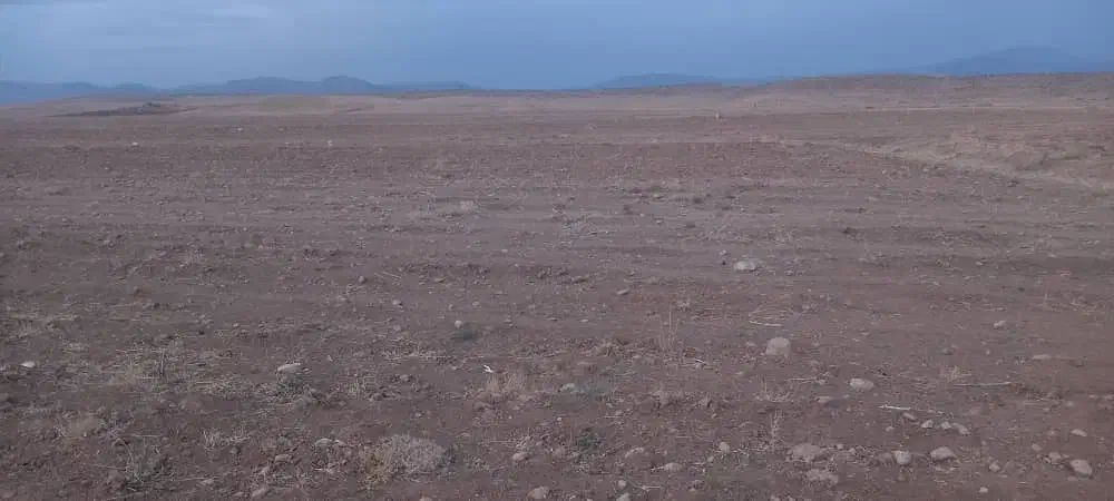 4هزار متر زمین کشاورزی فروشی|فروش زمین و ملک کلنگی|بیضا, |دیوار