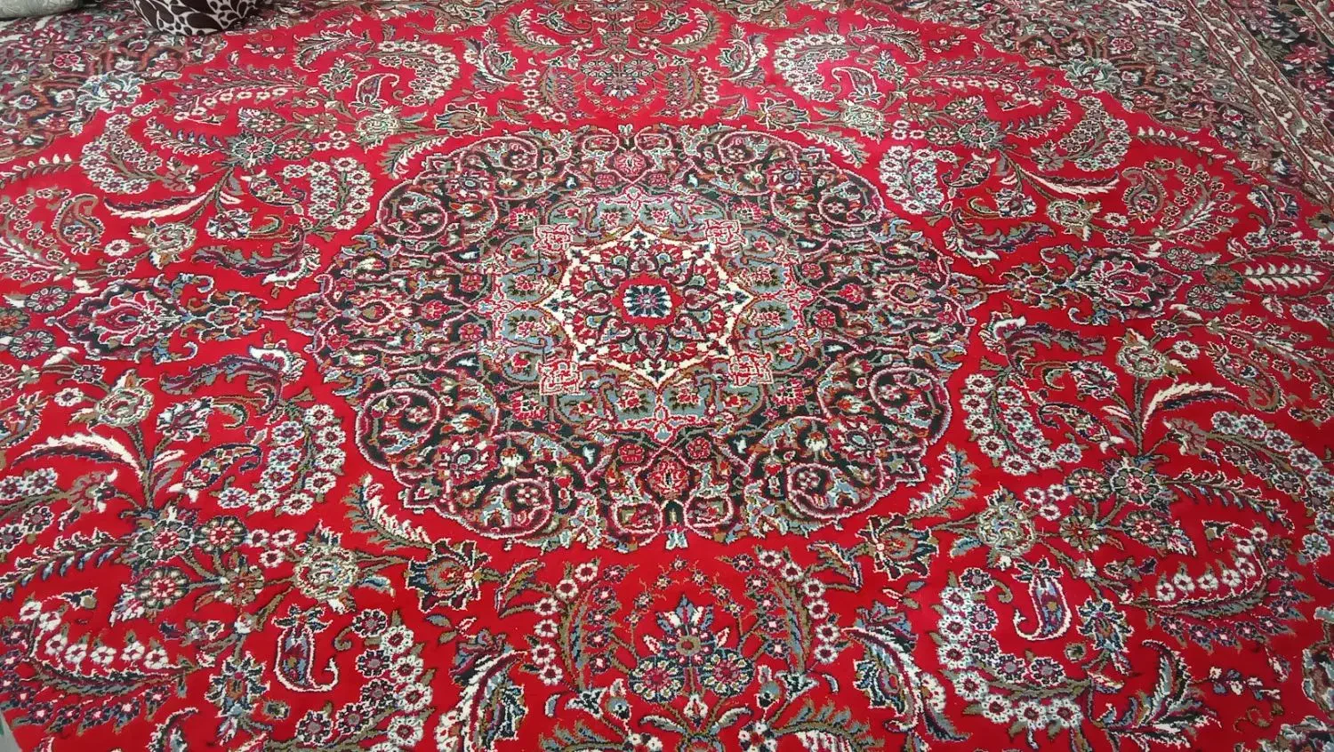 قالی قرمز کارکرده|فرش|تربتحیدریه, شهرک ولیعصر|دیوار