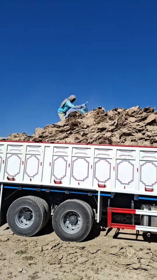 فروش کود مرغ سالنی به شرط|خدمات باغبانی و درختکاری|بندر کنگان, |دیوار