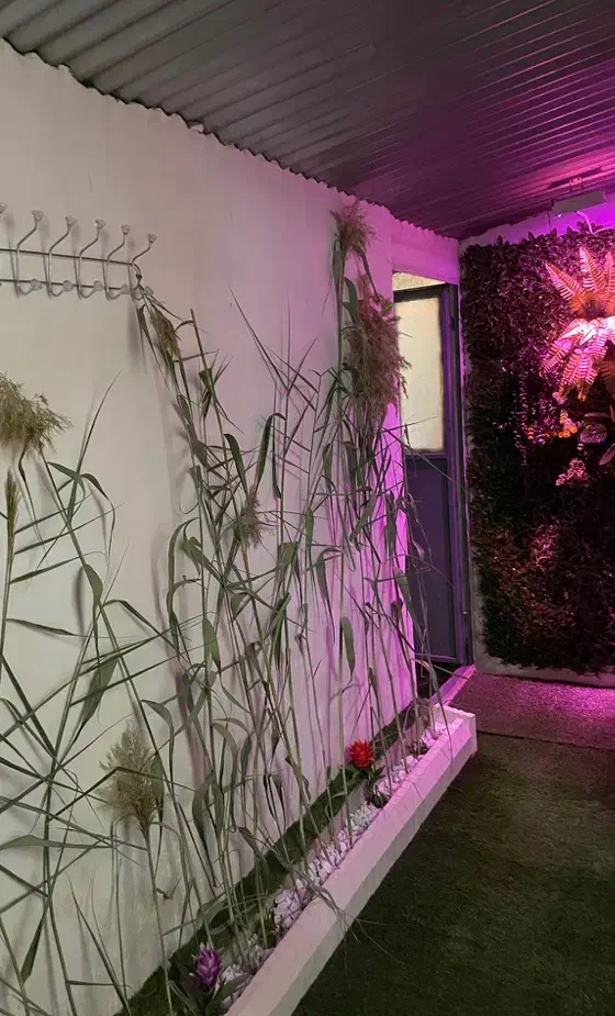 ۳طبقه ۱۴متری کوچه سعدی|فروش خانه و ویلا|نسیم‌شهر, |دیوار