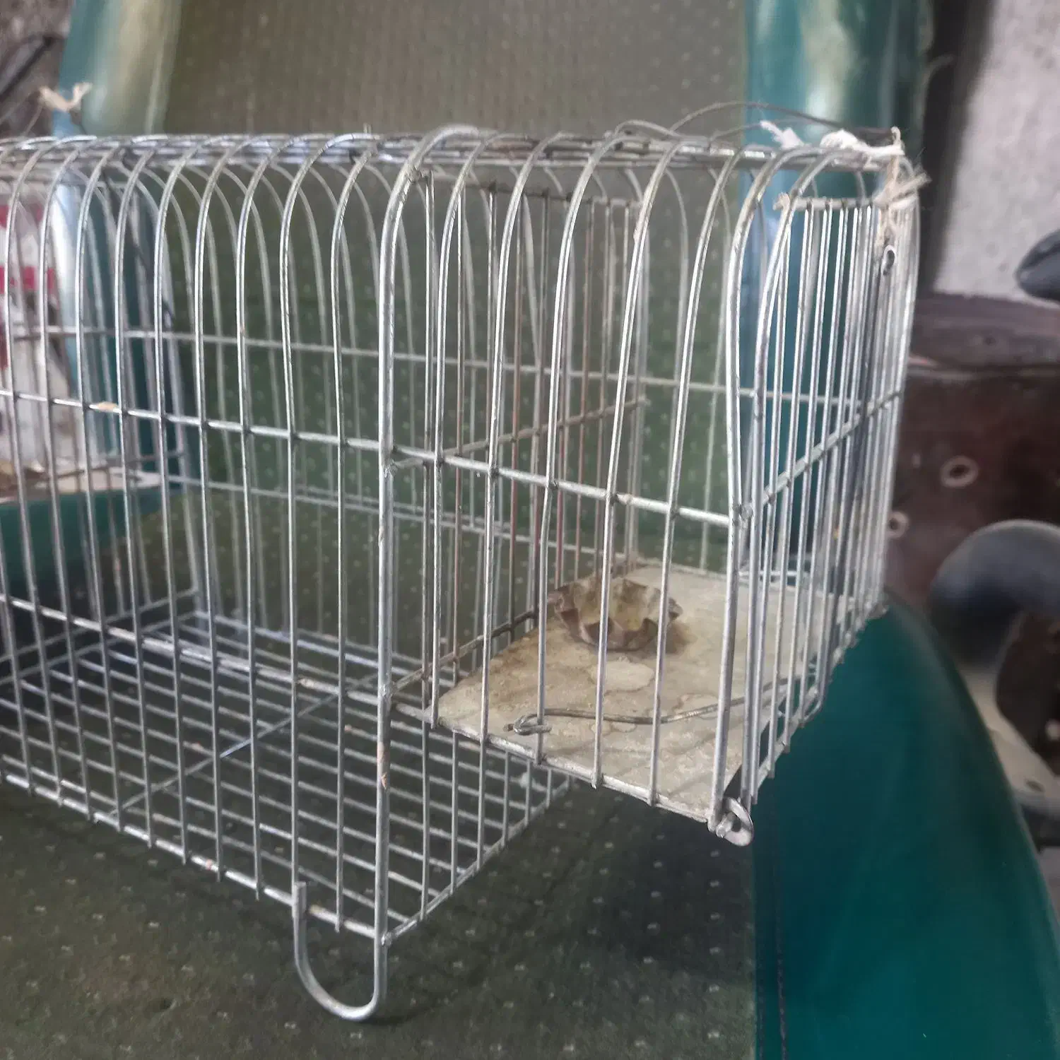 سهره گیر|لوازم جانبی حیوانات|قم, پردیسان|دیوار