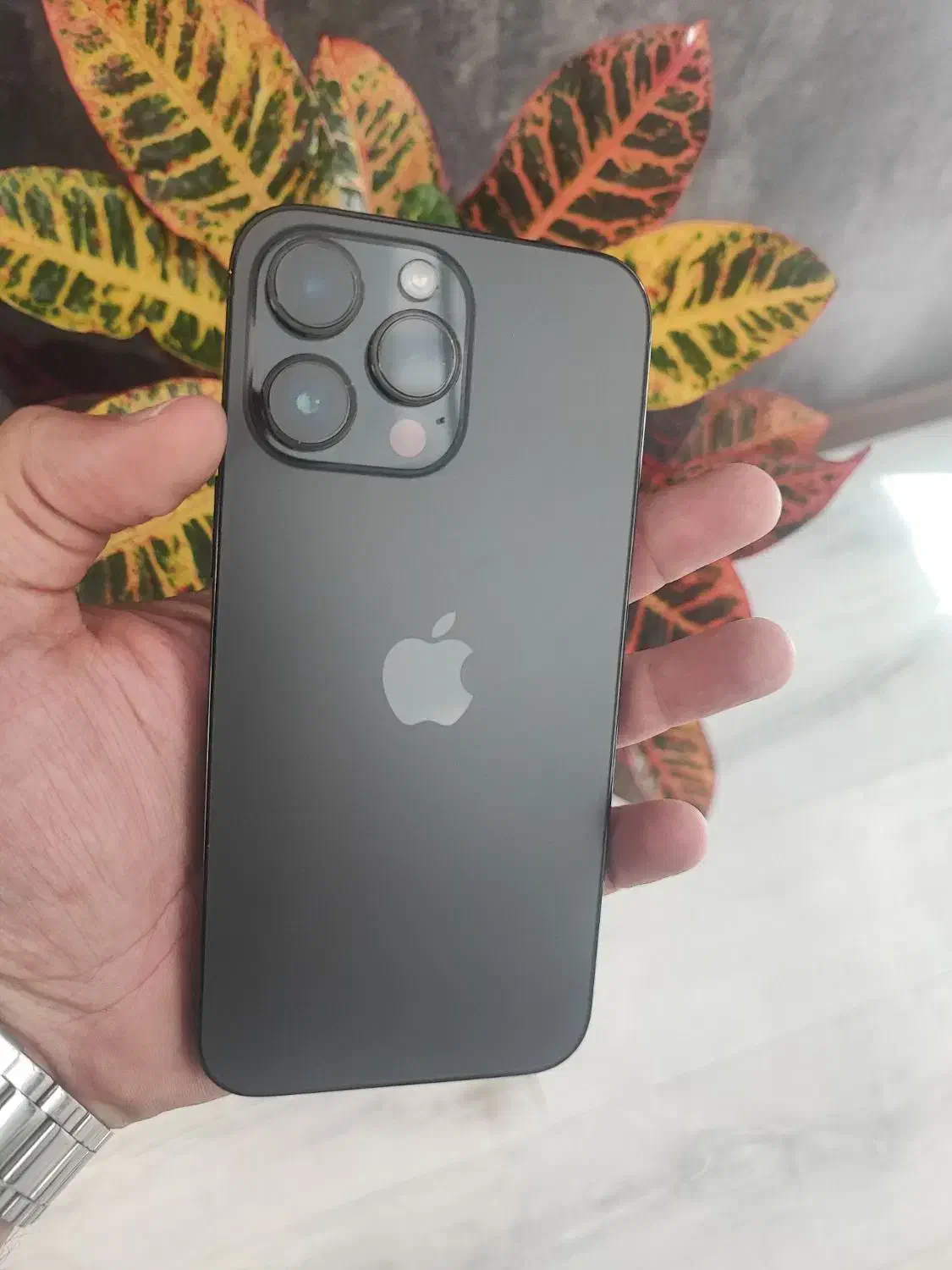 14promx(256g)zaa|موبایل|اصفهان, سروستان|دیوار