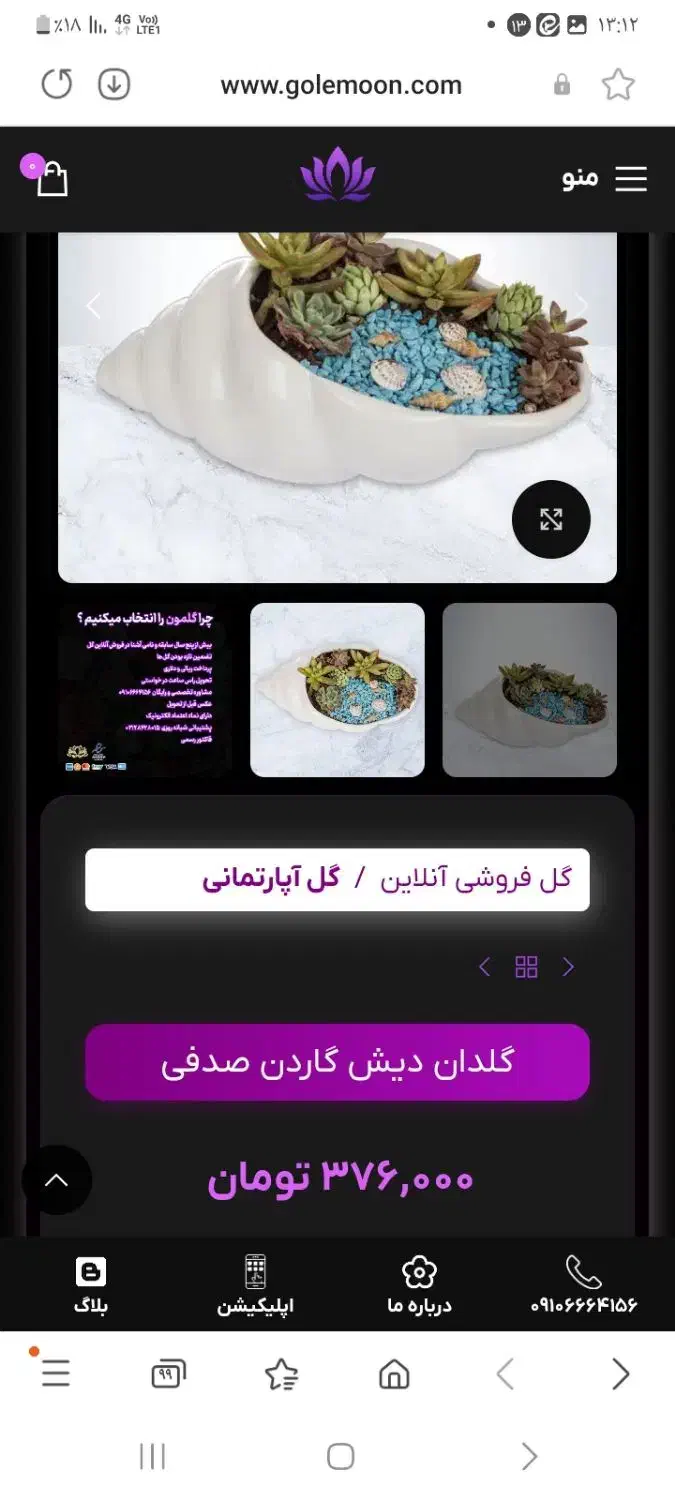 گلدون مدل صدف|مجسمه، تندیس، ماکت|دامغان, |دیوار