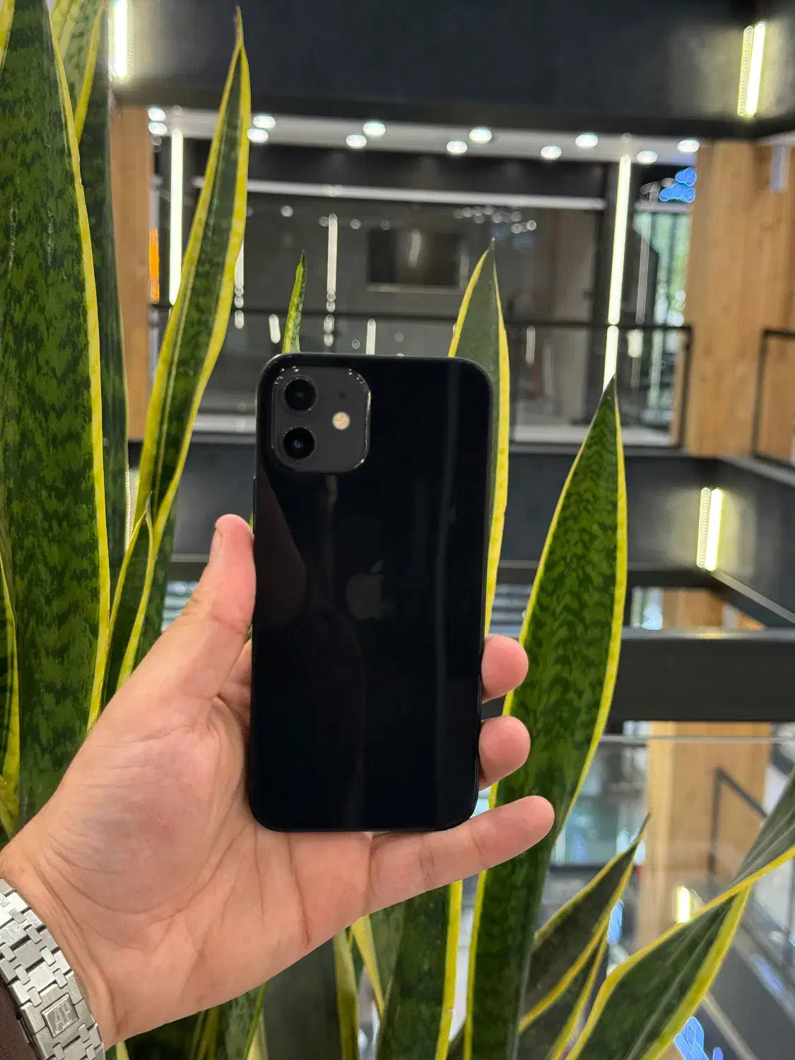 اپل ۱۲ نرمال|موبایل|رشت, چله خانه|دیوار