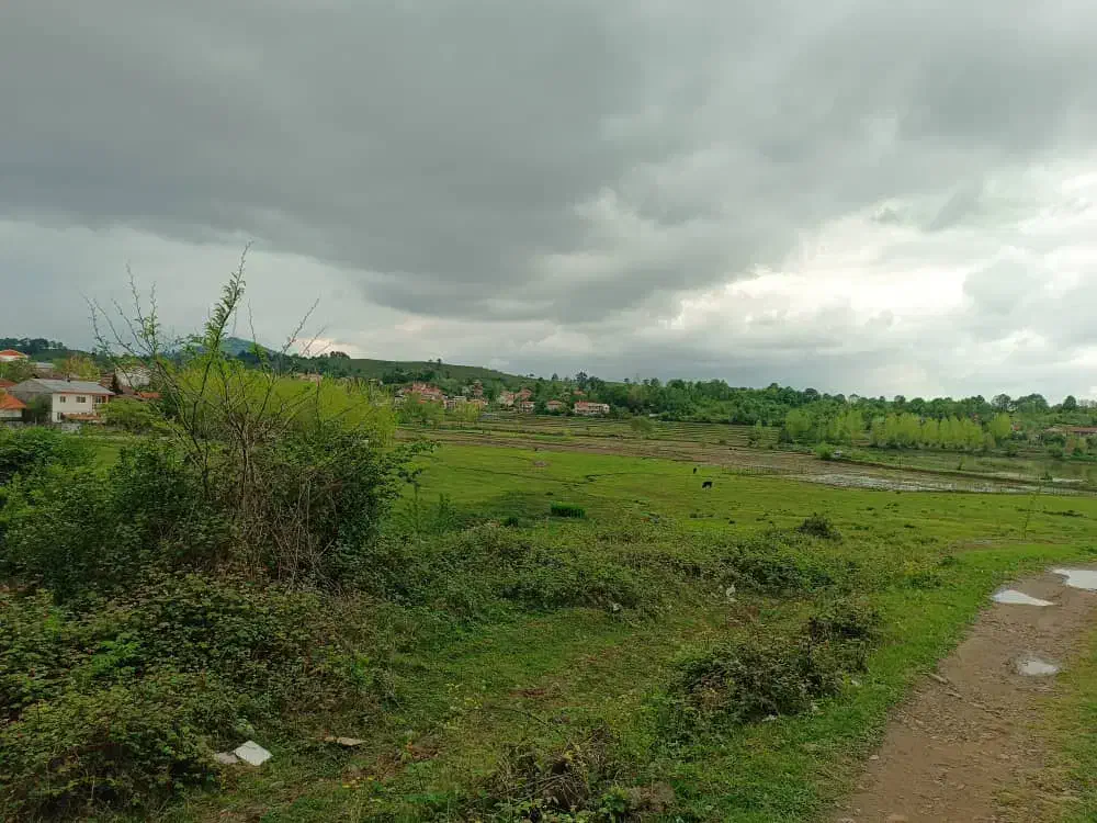 فروش زمین|فروش زمین و ملک کلنگی|رشت, دیلمان|دیوار