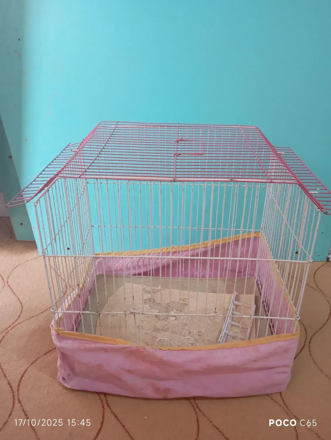 قفس مرغ عشق فنج|لوازم جانبی حیوانات|قم, نخودی|دیوار