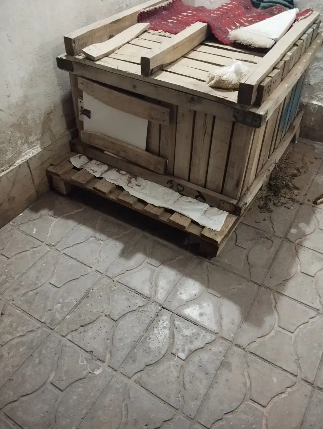 مرغ|حیوانات مزرعه|بیرجند, |دیوار