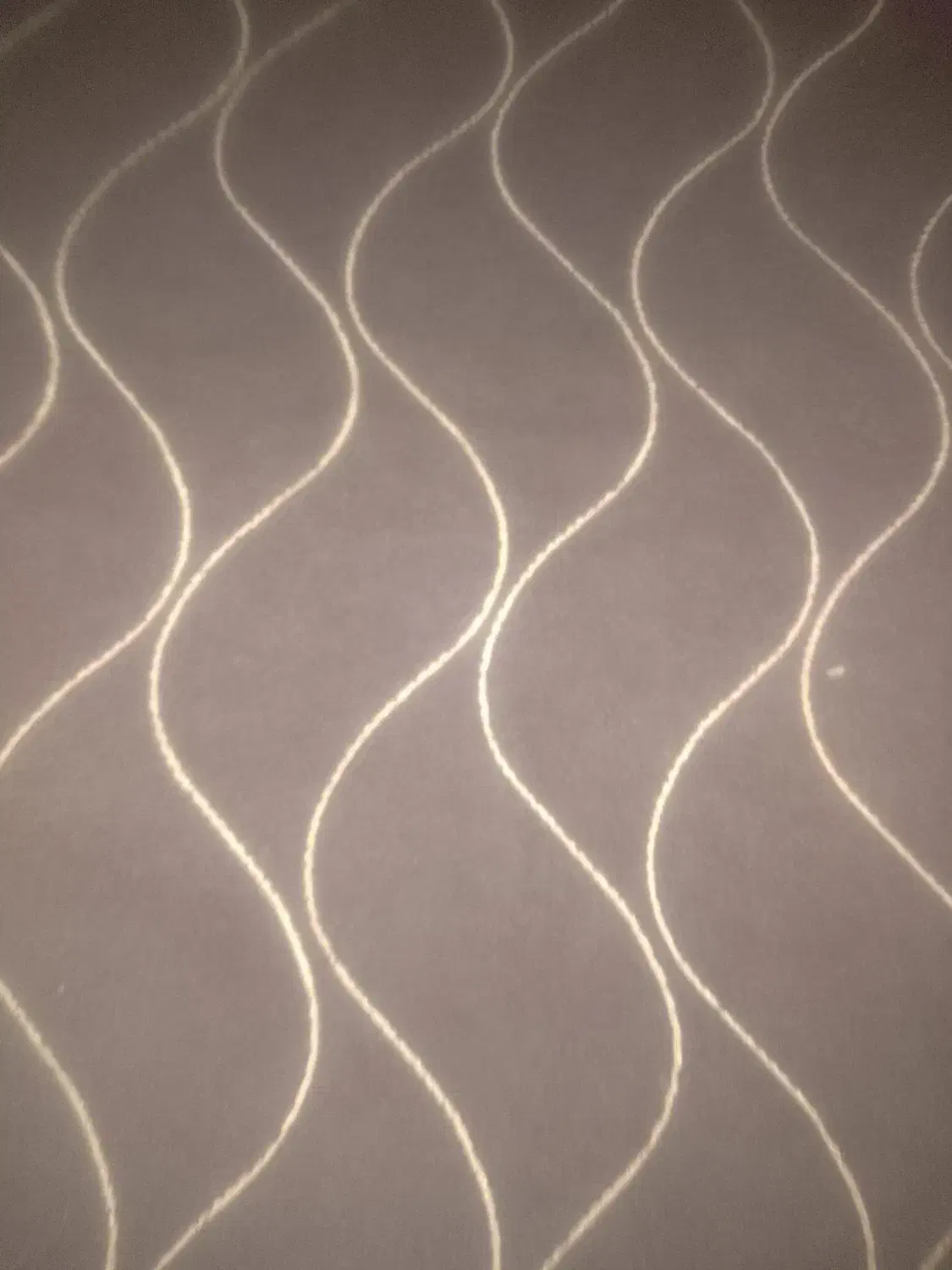 موکت و فرش|موکت|آق قلا, |دیوار