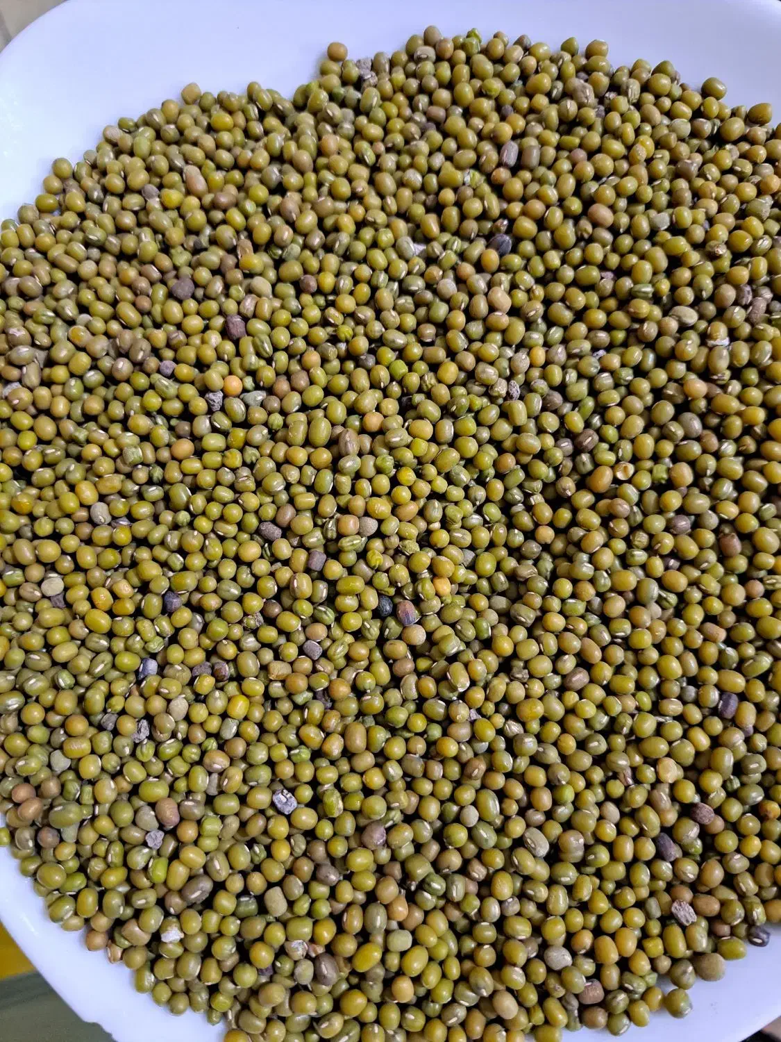 ماش تازه چین|خوردنی و آشامیدنی|ینقاق, |دیوار