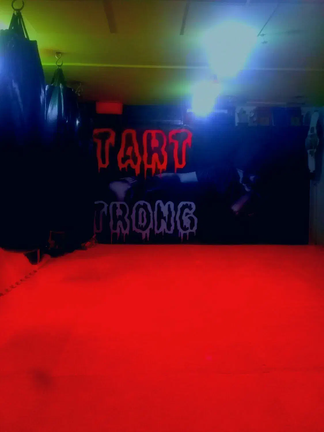 اموزش خصوصی بوکس،موای تای ،ووشوساندا ،ام ام ای|خدمات آموزشی|مشهد, رضاشهر|دیوار