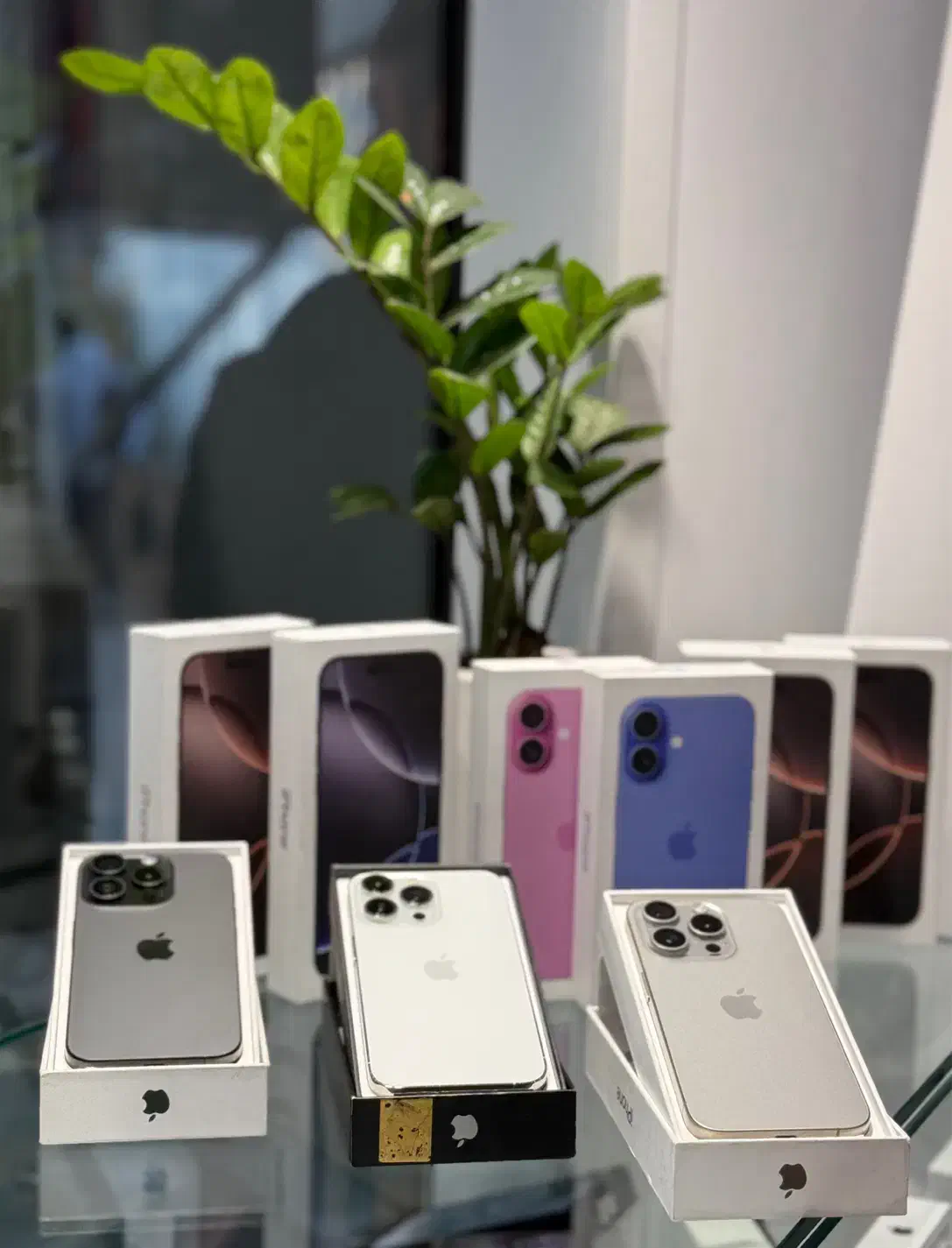 فروش ایفون ۱۶ پرو ۲۵۶ گیگ نقد و اقساط|موبایل|تهران, گیشا|دیوار