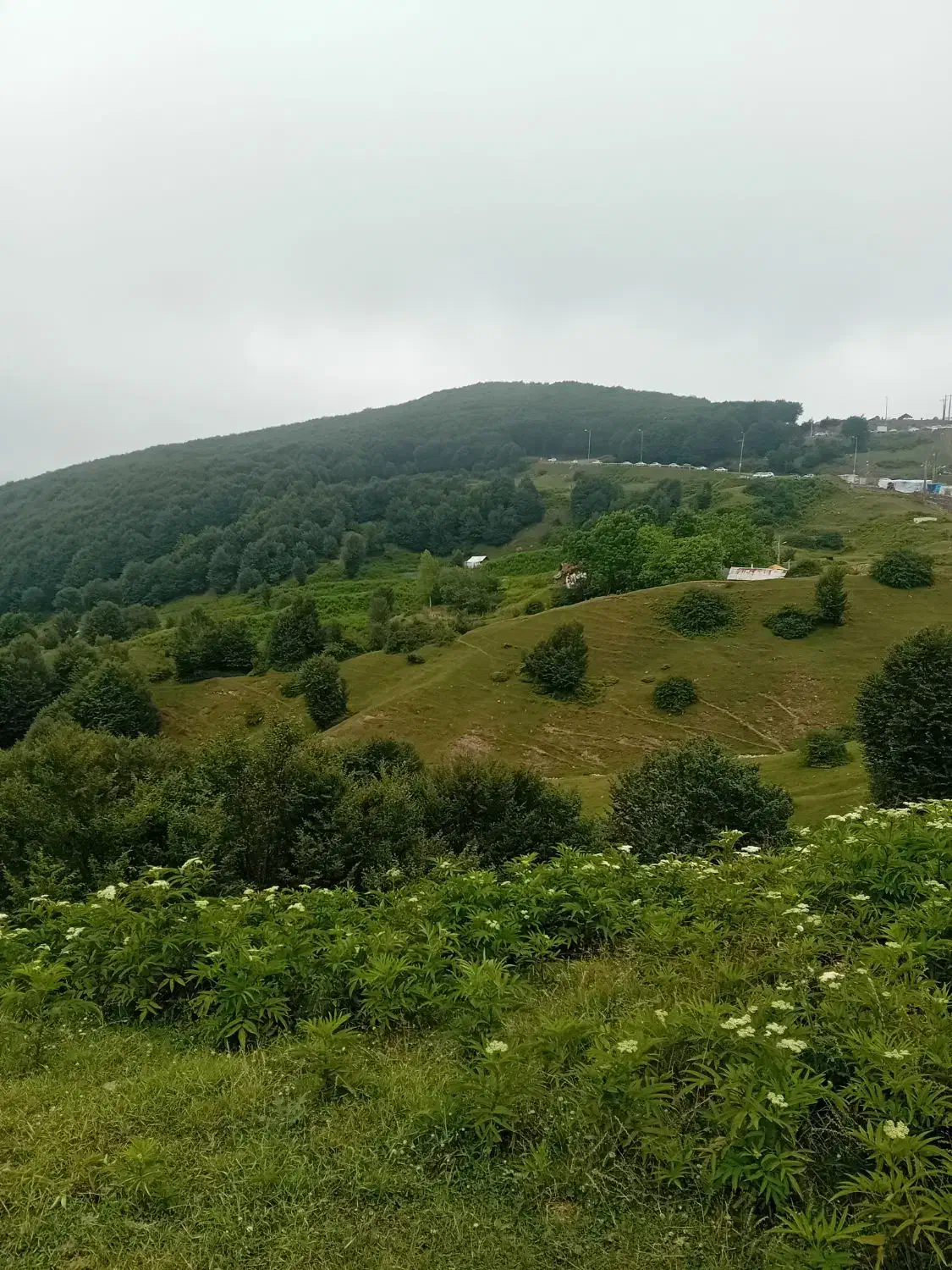 لیدرمحلی|فعالیت داوطلبانه تحقیقاتی|تهران, زعفرانیه|دیوار