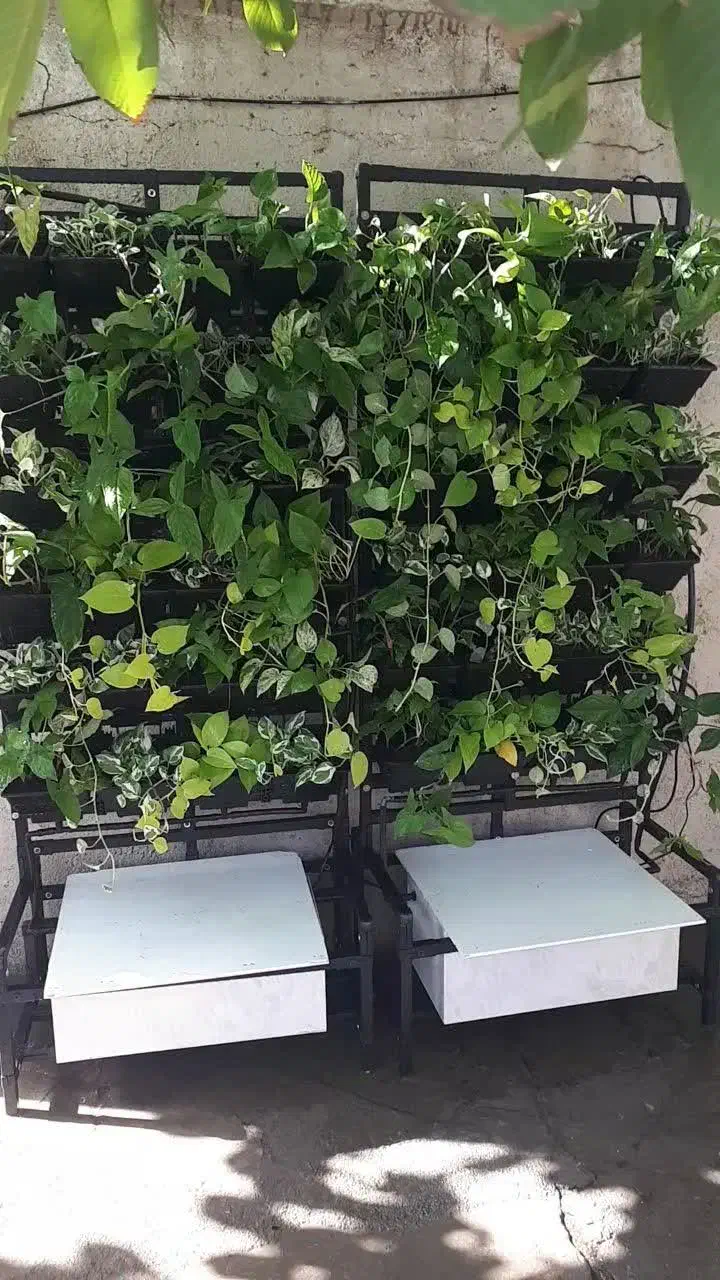 دیوار سبز گرین وال  هوشمند|خدمات پیشه و مهارت|تهران, شهرک کوهسار|دیوار