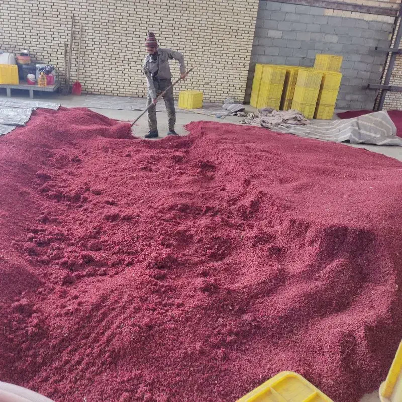 زرشک امسالی (پخش عمده)|عمده‌فروشی|قائن, |دیوار