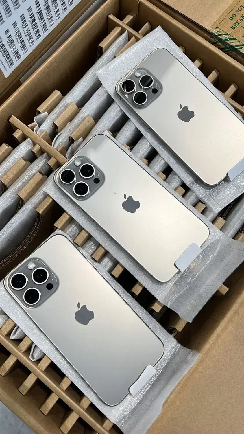 16پرومکس256 zaaنات اکتیو|موبایل|پاوه, |دیوار