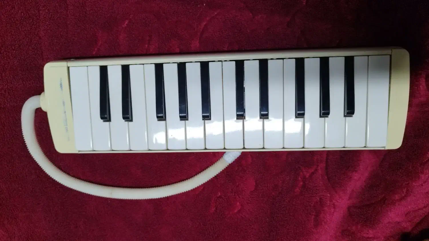 ملودیکا اصل ژاپن|سازهای بادی|رشت, پارک شهر|دیوار