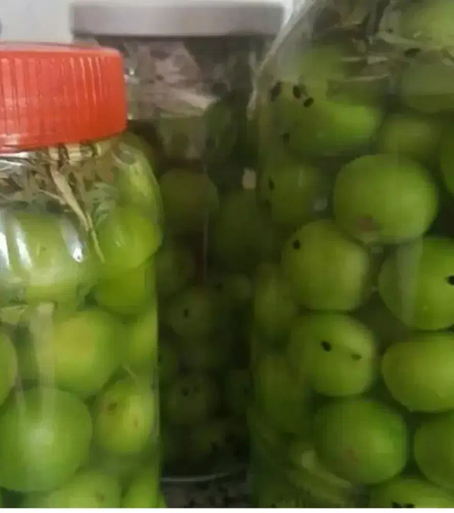 آلوچه سبز ترش و سفت|خوردنی و آشامیدنی|شاهین دژ, |دیوار