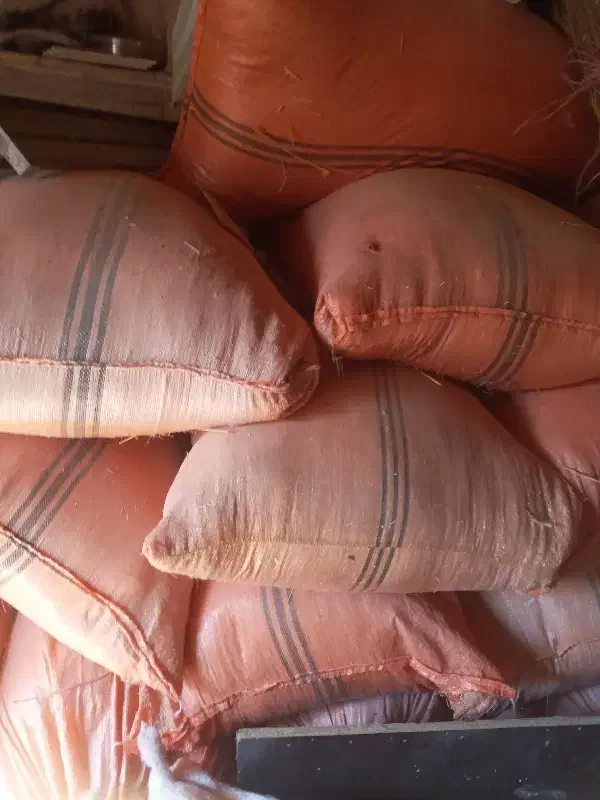 ۲۰کیسه کاه|لوازم جانبی حیوانات|نیشابور, مازول|دیوار